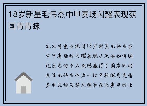 18岁新星毛伟杰中甲赛场闪耀表现获国青青睐